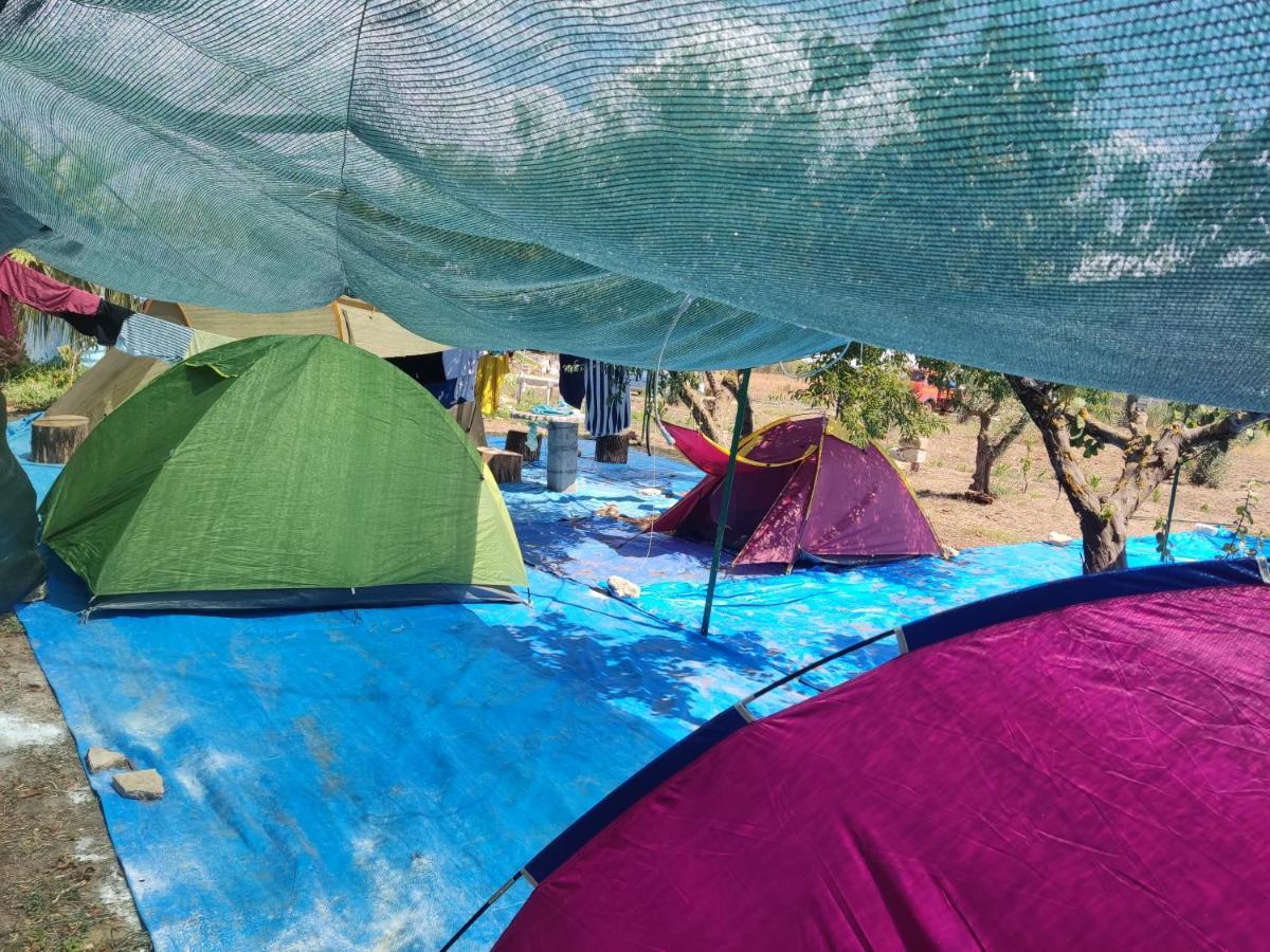 Aree Tende Presso La Casa In Campagna Di Ottavia Alezio Exterior foto